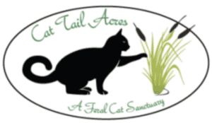 Cat Tail Acres