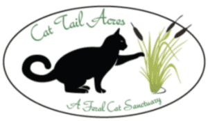 Cat Tail Acres Cat Tail Acres