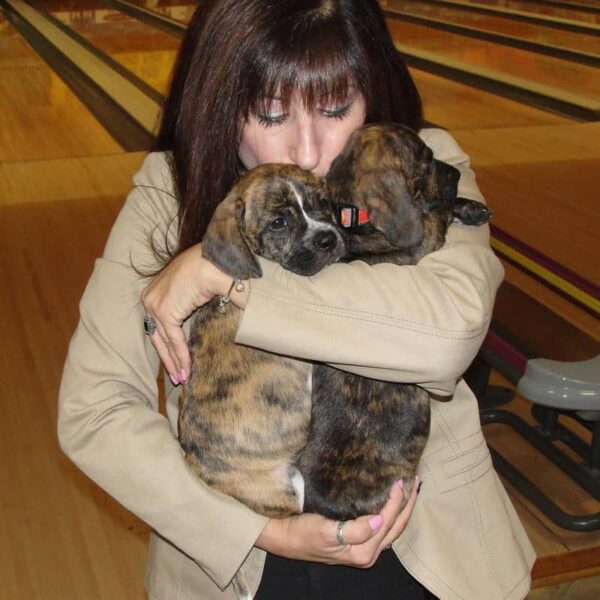 Marie Cladd Marie Cladd