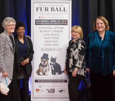 FAMD2019FB FAMD2019FB