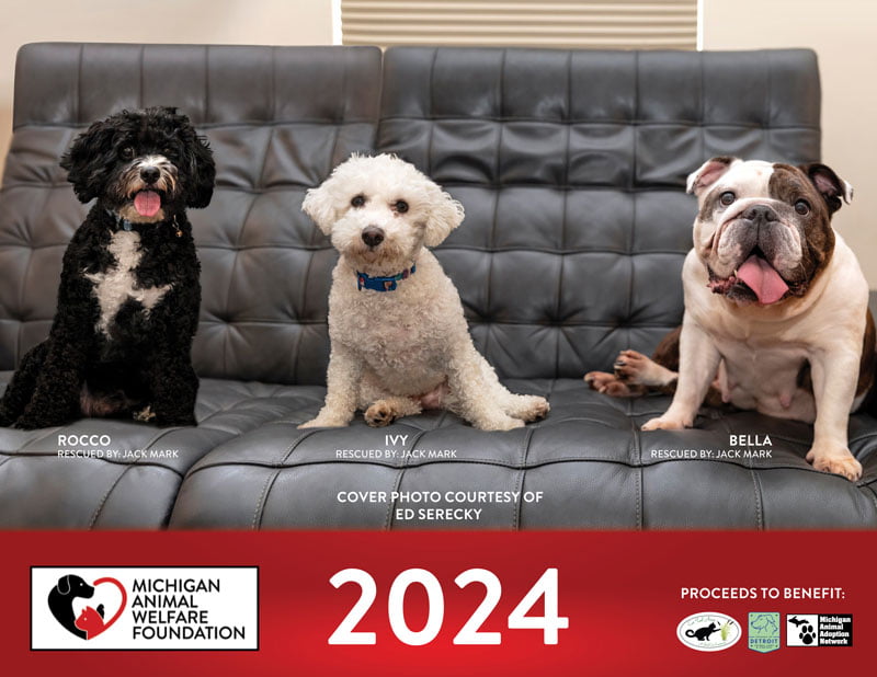 2024 MIAWF Calendar