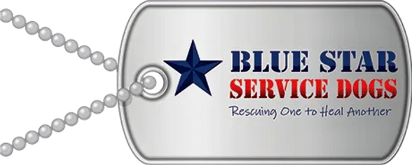 2Blue-Star-LOGO