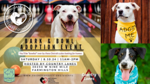 Bark & Bowl Adoption Event!