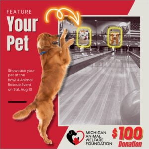 Memory Lane Sponsor a Pic of YOUR Pet!