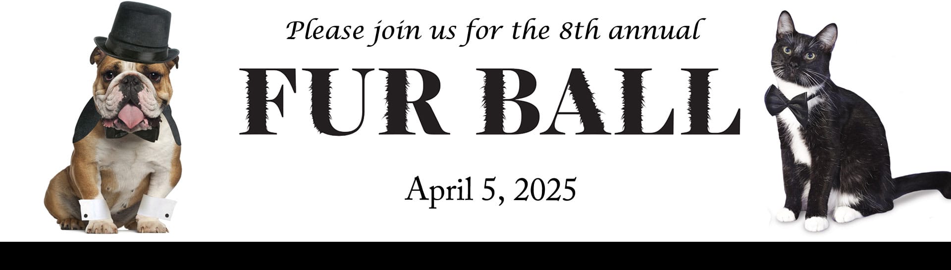 2025-YBC-Fur-Ball-banner