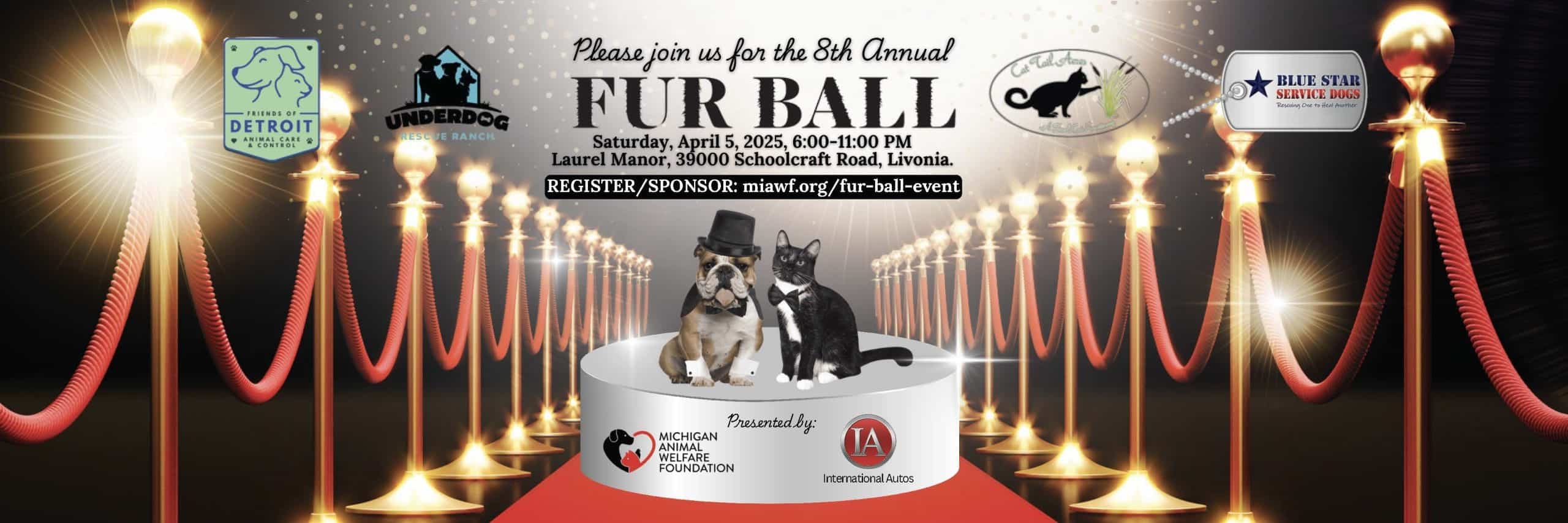 Michigan Animal Welfare Foundation Fur Ball