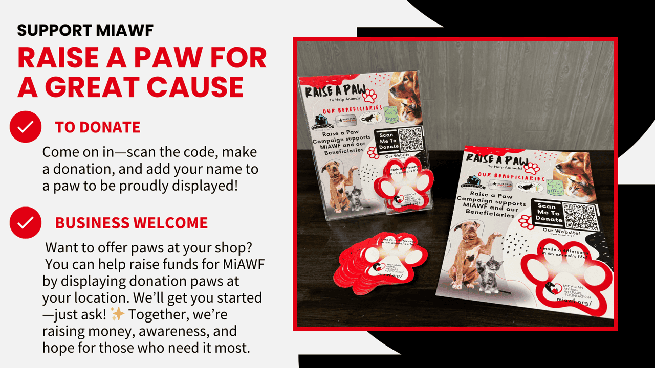 MiAWF- Raise a Paw Slide Raise a Paw Campaign Michigan Animal Welfare Foundation