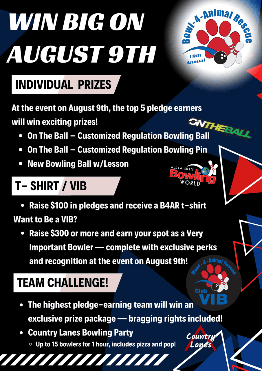 B4AR prizes (1) Bowl 4 animal rescue pledge drive prizes