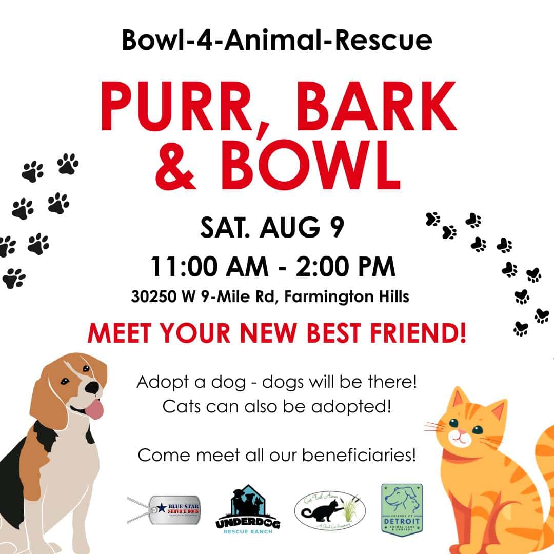 Purr Bark & Bowl Purr Bark & Bowl Bowl 4 animal rescue friends of detroit animal care and control underdog rescue ranch cat tail acres blue star service dogs