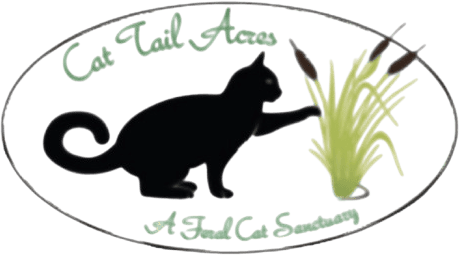 cat_tails_logo_png-1758328548-removebg-preview (1)