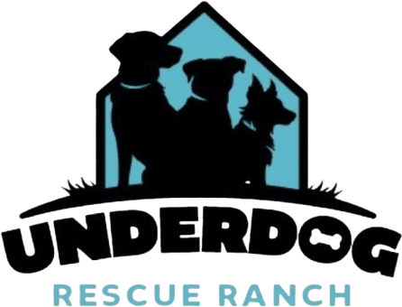 under_dog_logo_png-1758328398-removebg-preview (1)
